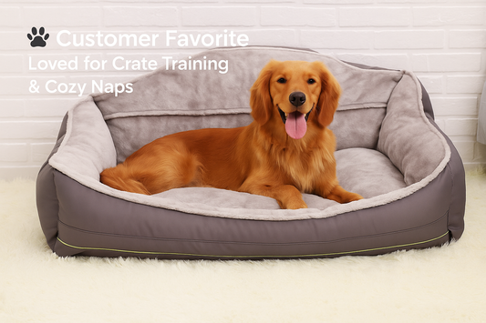 Comfort Plus Waterproof High-Back Pet Bed for Dogs & Puppies