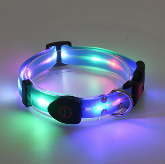 Rechargeable LED Dog Collar with Matching Leash – Nighttime Safety
