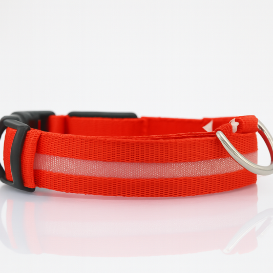 LED Safety Collar — Light-Up Dog & Cat Collar for Night Walks