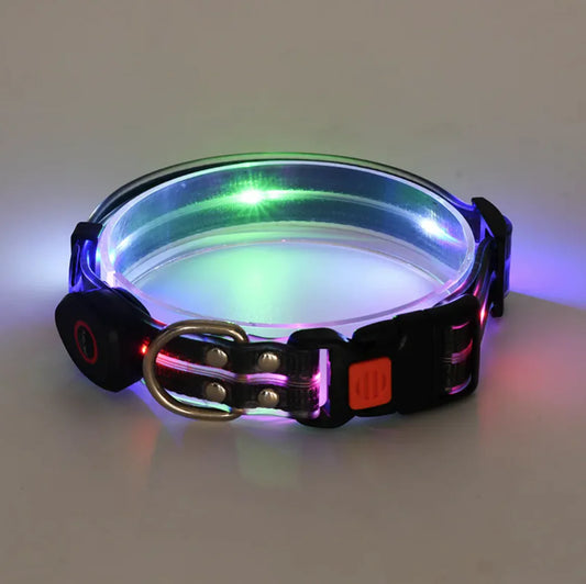 Rechargeable LED Dog Collar with Matching Leash – Nighttime Safety