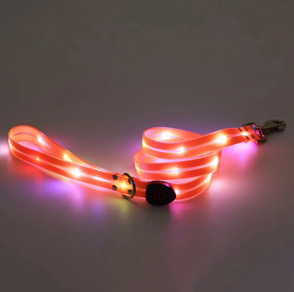 Rechargeable LED Dog Collar with Matching Leash – Nighttime Safety