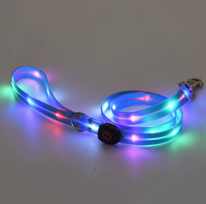 Rechargeable LED Dog Collar with Matching Leash – Nighttime Safety