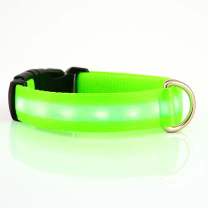 LED Safety Collar — Light-Up Dog & Cat Collar for Night Walks