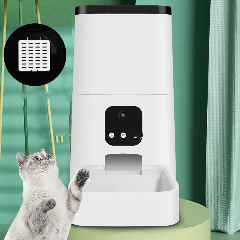 Pet Feeding Station with Automatic Timer — No App Needed