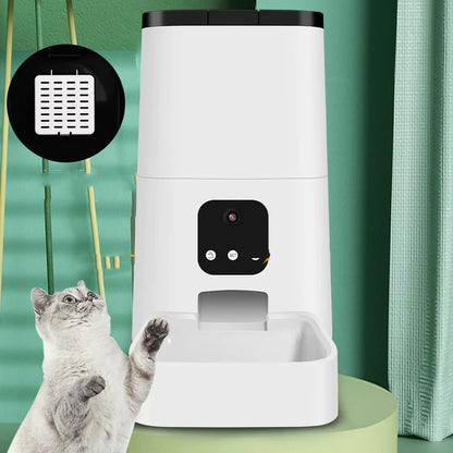 Pet Feeding Station with Automatic Timer — No App Needed