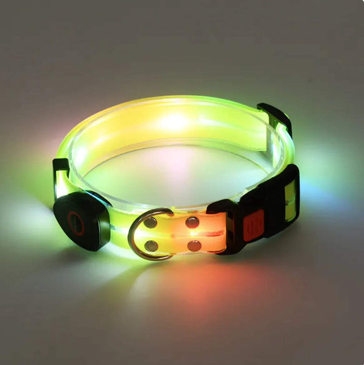 Rechargeable LED Dog Collar with Matching Leash – Nighttime Safety