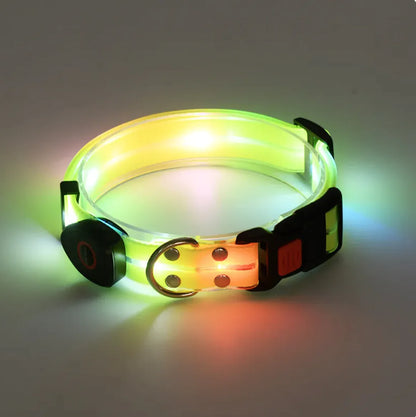 Rechargeable LED Dog Collar with Matching Leash – Nighttime Safety