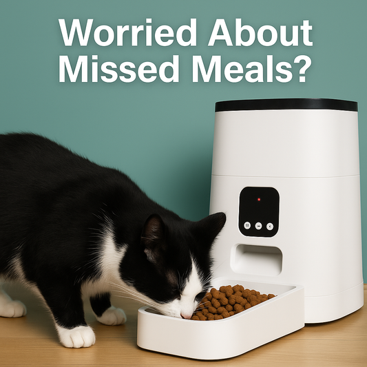 Pet Feeding Station with Automatic Timer — No App Needed