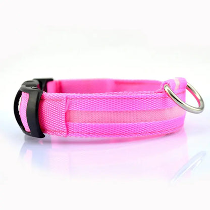 LED Safety Collar — Light-Up Dog & Cat Collar for Night Walks