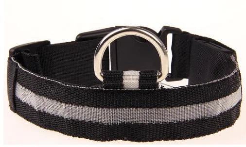 LED Safety Collar — Light-Up Dog & Cat Collar for Night Walks