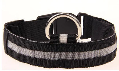 LED Safety Collar — Light-Up Dog & Cat Collar for Night Walks