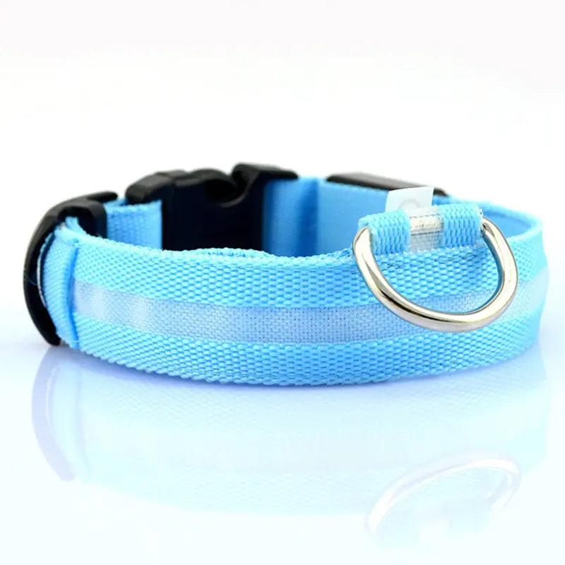 LED Safety Collar — Light-Up Dog & Cat Collar for Night Walks