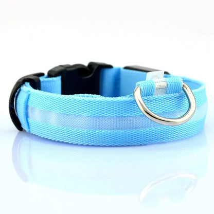LED Safety Collar — Light-Up Dog & Cat Collar for Night Walks
